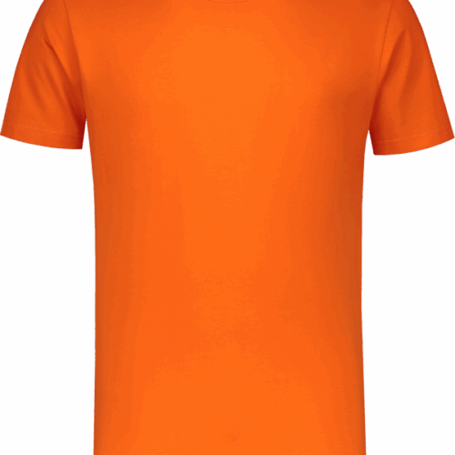 0309 T-Shirt Heavy Duty Oranje XS